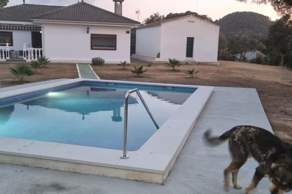 Chalet Con Encanto En Sierra Cordobesa. Wifi Cerro Muriano Exteriér fotografie